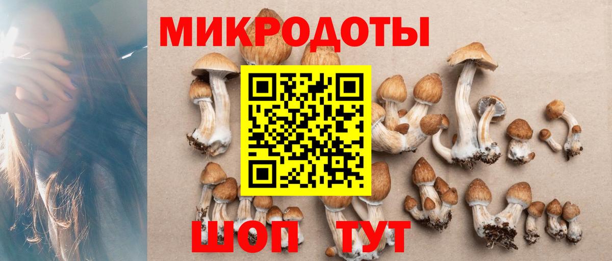 Фрязино  цены наркотик  Вход с VPN  Псилоцибиновые грибы прущие грибы 